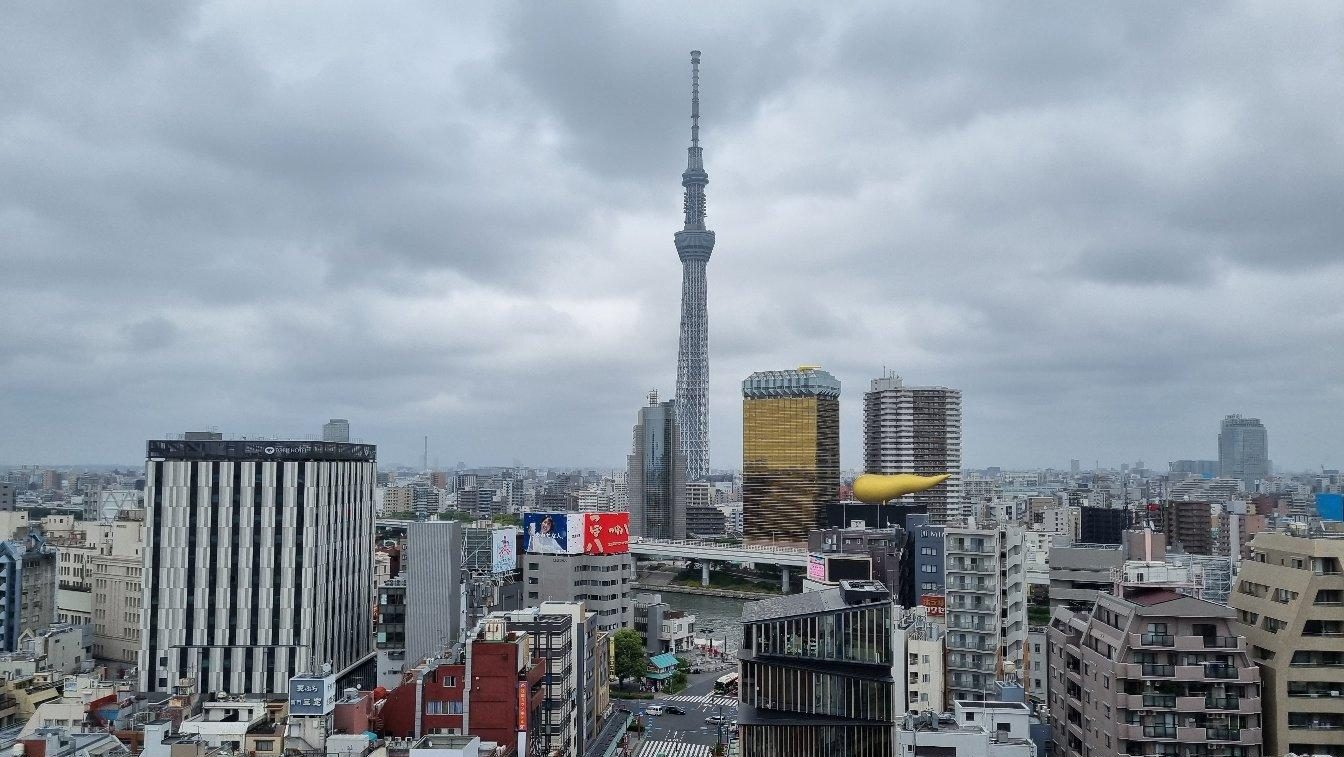 Tokyo skyline and business districts representing strategic market entry into Japan