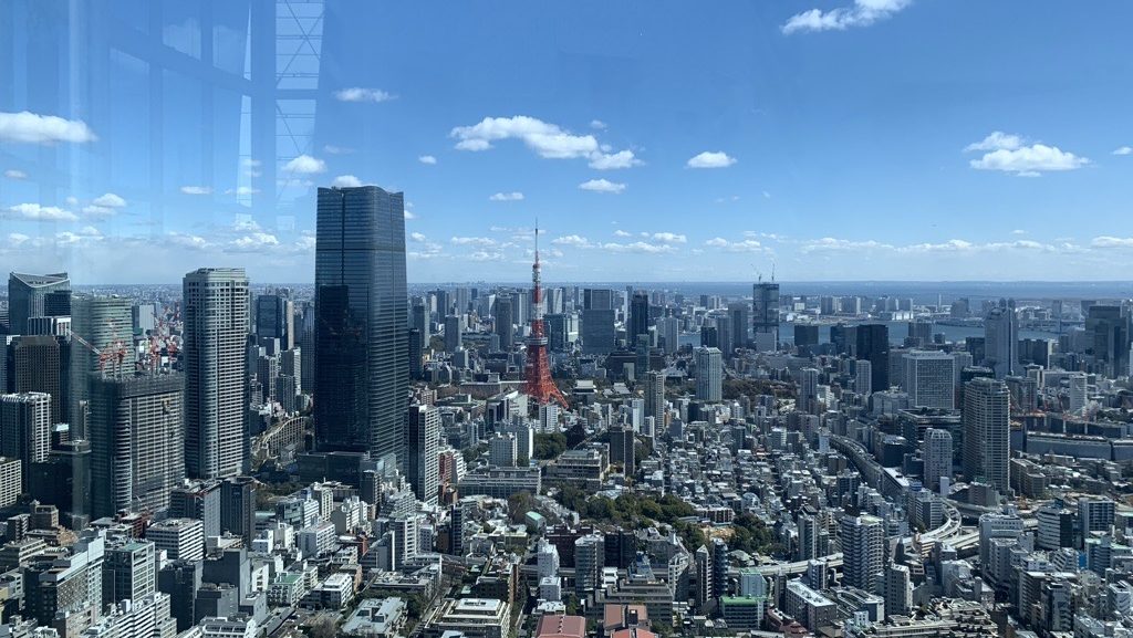 Tokyo city overview representing the broader context of market entry decisions in Japan